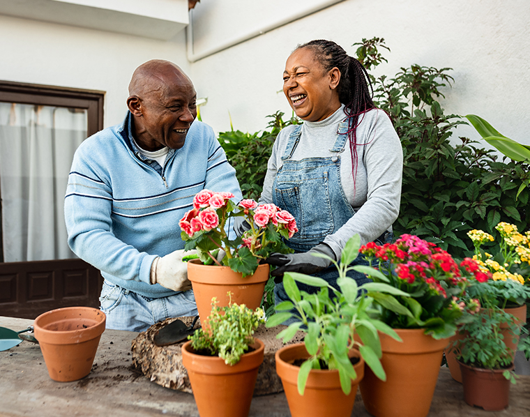 Older couple gardening